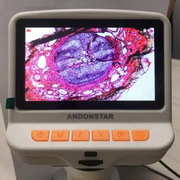 Andonstar AD105S HOT Digitálny USB Mikroskop 4.3 palcový vstavanom Displeji Listov Tkaniny pozorovanie Darček pre Deti Rastlinných Buniek