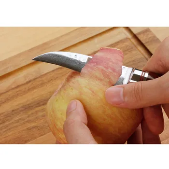 Sunlong Lúpací Nôž 3-palcový Ovocie Japonské Nože VG10 Kladivo Damasku ocele Frézovanie Nôž Rosewood Rukoväť
