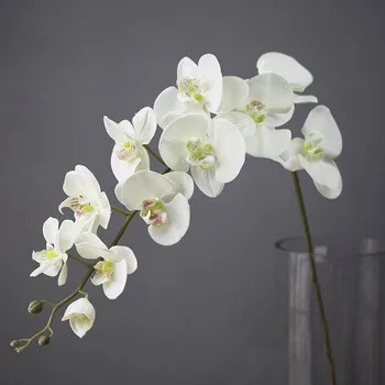 11 Hlavy DIY Umelé Falošné Hodvábneho Kvetu Phalaenopsis Motýľ Orchidea Domova