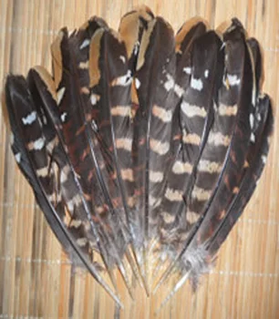 Doprava zadarmo veľkoobchod 100ks kvalitných prírodných Wild bažant perie 12-18 cm / 5-7inch rôzne dekoratívne a zbierať