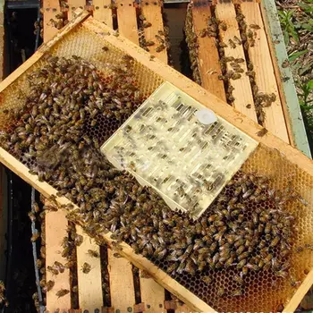 Včelárstvo Včelie Včelie Chov Bunky Okno Plastové Voštiny Bee Klietky Izolácie Včelárskych Zariadení M0XD