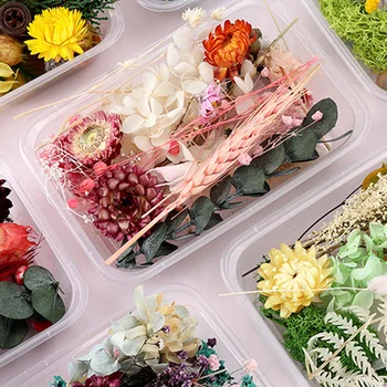 1 Box Zmiešané Sušené kvety Materiál Pre Nechty Umenie Obtlačky Epoxidové Živice Plesní, Šperky, Takže DIY Aromaterapia Sviečka Dekor