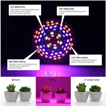 E27 LED Rásť Svetlo Plný Spectrum10W/30W/50W/80W S vypínačom Klip objímky Phyto Lampy pre Rastliny, Kvety, Hydroponické