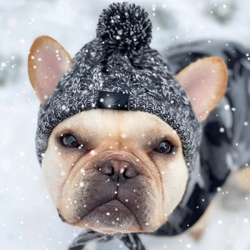 Zimné Psa Klobúk Klasické Teplé Psa Pletené Teplo Klobúk pre Stredné Psy Pet Products domáce zvieratá Pet Príslušenstvo