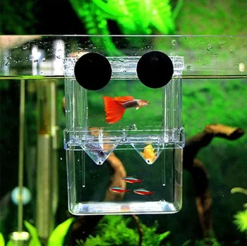 Baby fish tank Izolácie Betta smažiť ovipositor Tropické ryby akryl inkubátor box