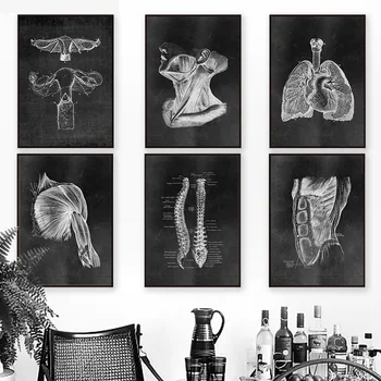Anatómia Kostra Wall Art Plátno Na Maľovanie Svalov Nohy, Kosti, Srdce, Nordic Plagáty A Potlačou Obrazov Na Stenu Pre Lekára Office Dekor