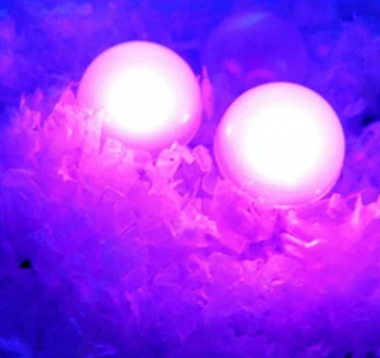 LED Mini Party Svetlá LED Víla perly svietidlá pre Papierové Lucerny, Balóny, Svadobné Vrchol Eiffelovej Veže, Vázy AUTA