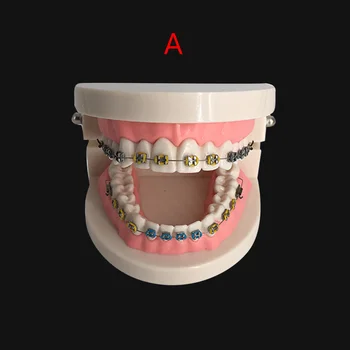 Zubná Starostlivosť O Ústnu Dutinu Zuby Model Zubár Ortodontická Zub Model Demonštračných Učebných Komunikácia Medzi Pacientom A Lekárom Výsledky Ukazujú,
