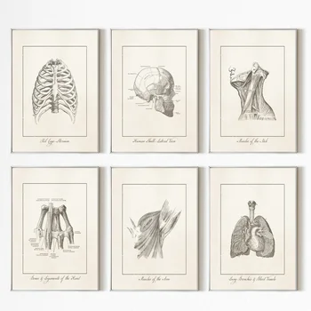 Ľudskej Anatómie Srdca Hlavu Wall Art Print Plátno Na Maľovanie Nordic Vintage Poster Obrazov Na Stenu Pre Kliniku Doktor Sestra Dekorácie