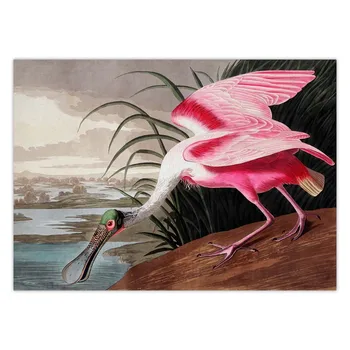 Audubon Vintage Vták Plagát Plátno Tlačiť Wall Art Obraz Americkej Heron Swan Roseau Lyžičiare Scarlet Lbis Modrá Žeriav Dekor