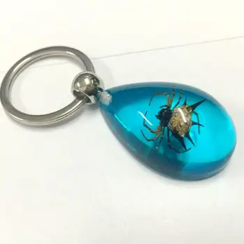 Doprava zadarmo, 12 keychain ručné skutočné módne spider modrá farba šperky