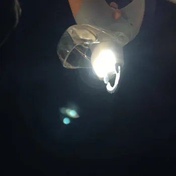 Profesionálne Pet Nail Clipper pre psov Nechtov Zastrihávač Pet Mačka Pazúr Brúska S LED Svetlo & 5X zväčšovacie sklo Bezpečnostné Nožnice