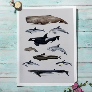 Veľryba Dolphin Marine Život Zvierat Umenie Výtlačkov Wall Art Plátno Na Maľovanie Nordic Plagáty A Vytlačí Na Stenu Obrázky Detská Izba Decor