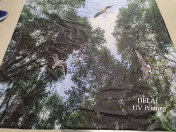1852 Seagull lietanie v lese PVC Natiahnuté Strop Film Pre Domáce dekorácie