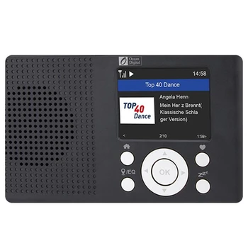 WR-23D Prenosný WiFi Internet, Rádio, Bluetooth Reproduktor Multifunkčný Digitálny FM Rádio pre DAN/DAB+ S akumulátorom