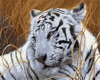 DRAWJOY Zarámované Zvierat Tiger Maľovanie & Kaligrafie DIY Maľovanie Podľa Čísel, Farebnosť Podľa Čísel Na Plátno Pre Domáce Výzdoba