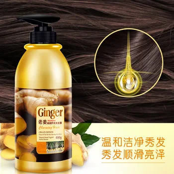 BIOAQUA Bylinné Zázvor Vlasy Šampón Žiadny Silikónový Olej Proti Lupinám (Anti-Svrbenie Cleansing Oil Control Vlasy vlasovej Pokožky
