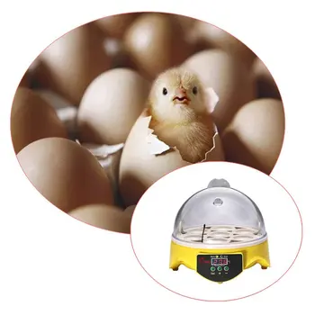 7 Vajec Inkubátor Domácnosti, Malé Automatické Inkubátor Samostatné Vajcia Zásobník Smart Mini Inkubátor Inkubačná Zariadenia
