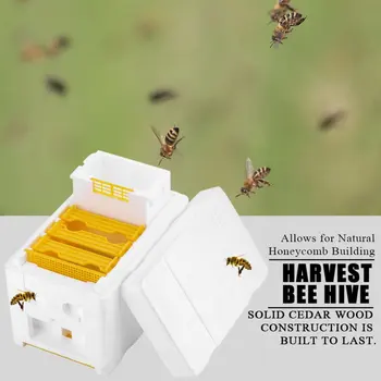 Včelárske Náradie Pena Beehives Bee Chvost Boxy Včiel, Chov Boxy Opeľovanie Box Sety