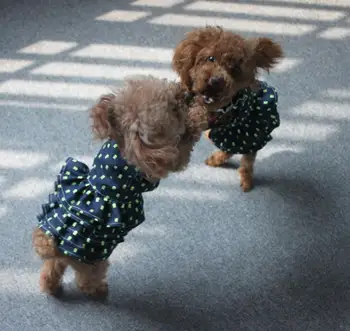 TOMEPETS Psa šaty psa princezná roztomilý pes sukne kostra vytlačí kovboj pet šaty pre malé psy 2 farby k dispozícii v 4 veľkostiach