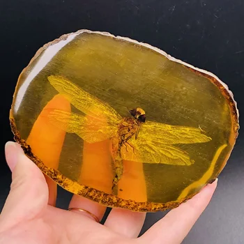 Prírodný Žltý Včelí Vosk Surového Kameňa Hmyzu Vzoriek