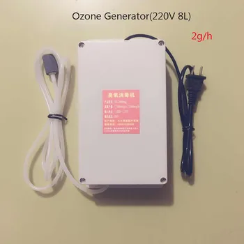 220V Vzduchu, Vody Armatúry Generátor Ozónu 2000mg/h Ozonator/Ozonizer 8 L