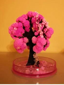 90 mm Ružová Ploche Cherry Blossom Pohode ThumbsUp Magic Japonská Sakura Strom Značky Novo Vyrobené v Japonsku Rastie Papier Stromy Deti Hračka