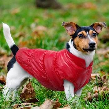Oblečenie Pre Psy, Pug Zimné Pet Oblečenie, Nepremokavé Čivava, Oblečenie Pre Malé A Stredné Psy Šteňa Teplý Pes Kabát Bunda