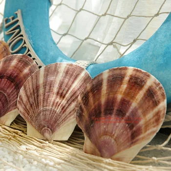 Prírodné Shell Conch Stredomoria Ocean Beach Akvarijné Ryby Nádrž Dekorácie Maľovanie Graffiti Mušle Dekorácie, Remeselné Ornament