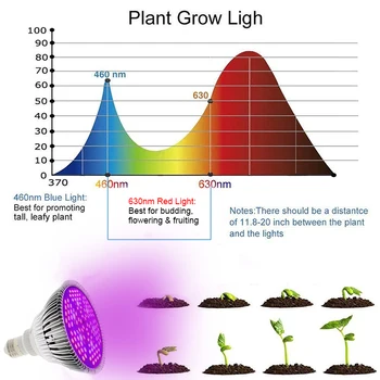 LED Rásť Svetlo celé Spektrum 80W Led Rásť Svetlá Žiarovky E26/E27 Žiarovka UV žiarenia Pre Rastliny, Krytý Záhradný Fitolampy Fitolamp Rastie Lampa