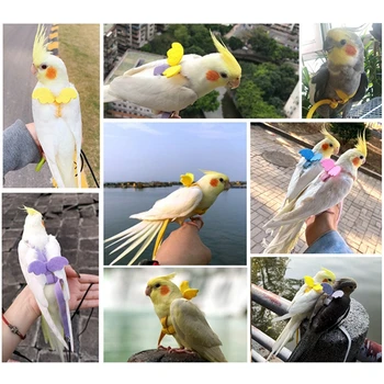 1PCS Vták Nastaviteľné Popruhy Anti-skus Atraktívne Lietajúci Papagáj Lano Vták Vodítku Vonkajšie Tréning Trakciu Lano Pre Malé Vtáky
