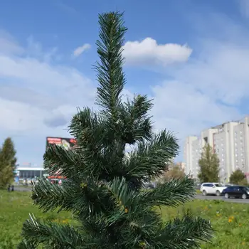Nový Nový Rok umelý Vianočný stromček jedľa borovica Ural bez kužele PVC 100/130/150/180/220/250/300/400/500 cm